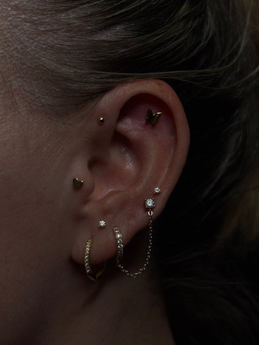 Ear Curation consultation